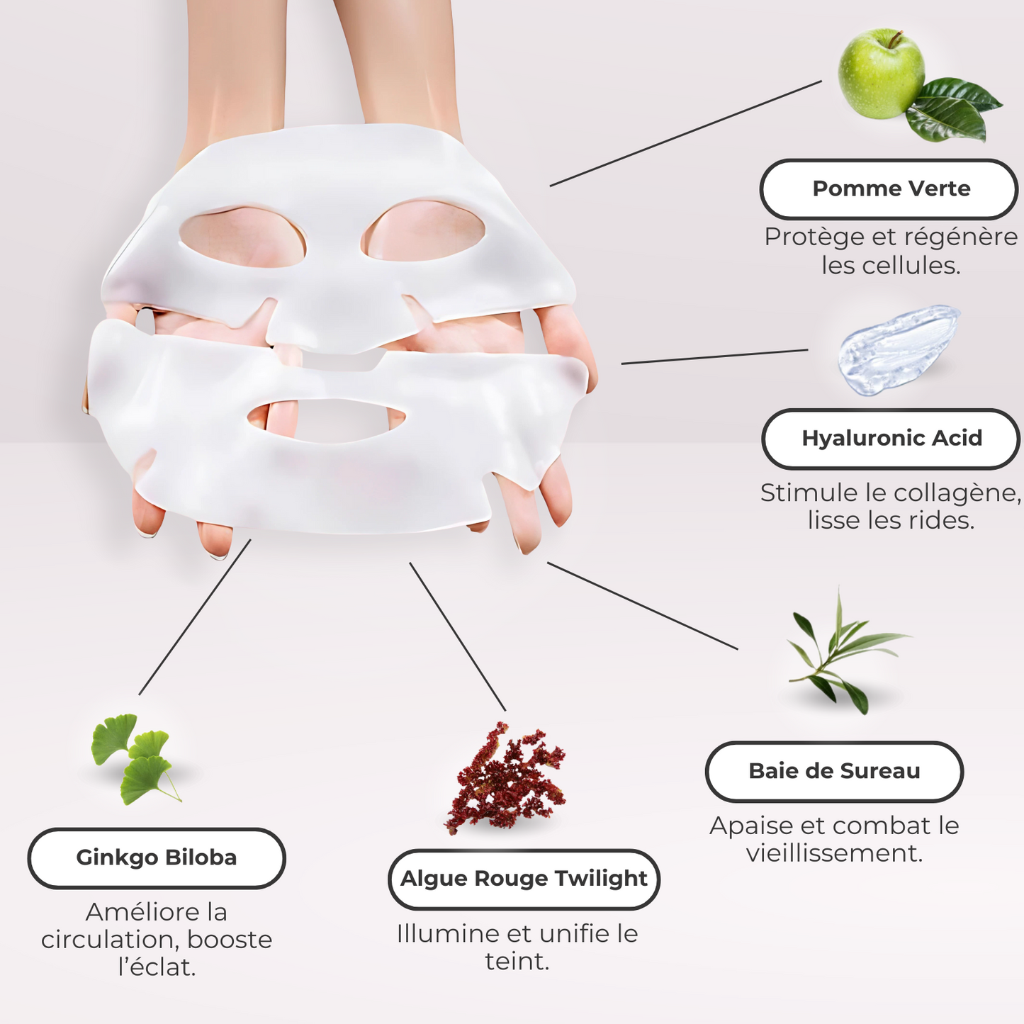 Masque au Collagène BioActive®